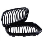 BMW 1 Serie F20 F21 Nierengrill Set
