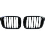 Set van twee nierengrills geschikt voor BMW X3 G01 en X4 G02